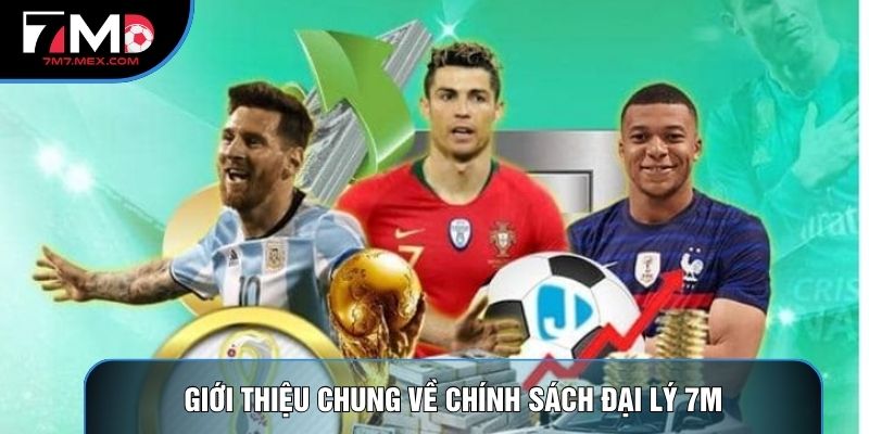 Giới thiệu chung về chính sách đại lý 7M