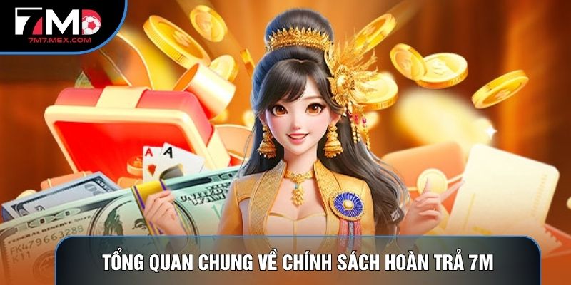 Tổng quan chung về Chính sách hoàn trả 7M
