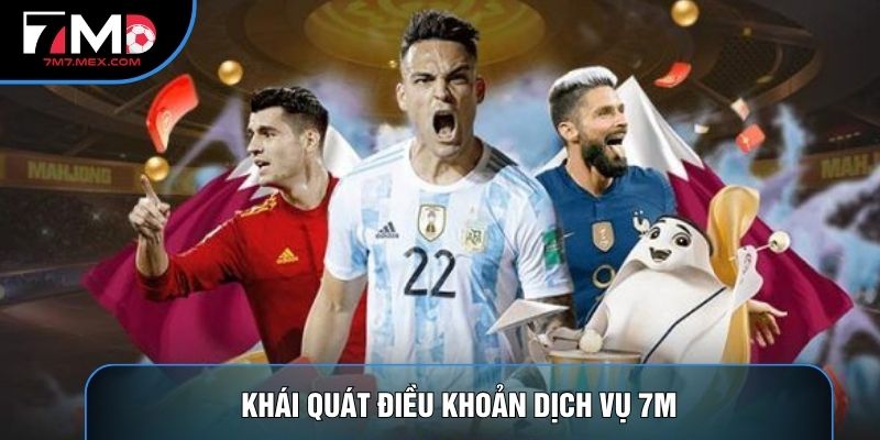 Khái quát điều khoản dịch vụ 7M