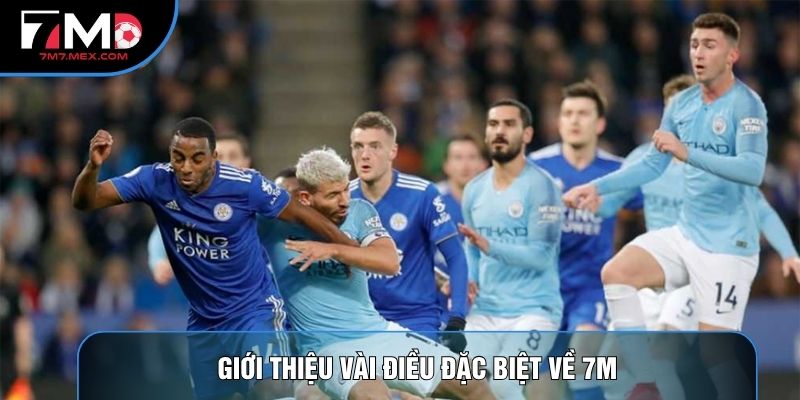 Giới thiệu vài điều đặc biệt về 7M