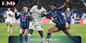 Kèo Cá Cược Bóng Đá Ý Là Gì? Bí Kíp Đọc Vị Serie A Từ Chuyên Gia