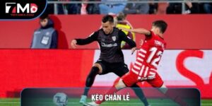 Kèo Chẵn Lẻ Là Gì? Bí Kíp Soi Kèo Odd/Even Luôn Nắm Phần Thắng