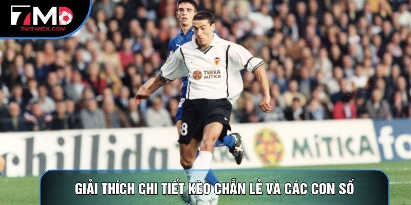 Giải thích chi tiết kèo chẵn lẻ và các con số