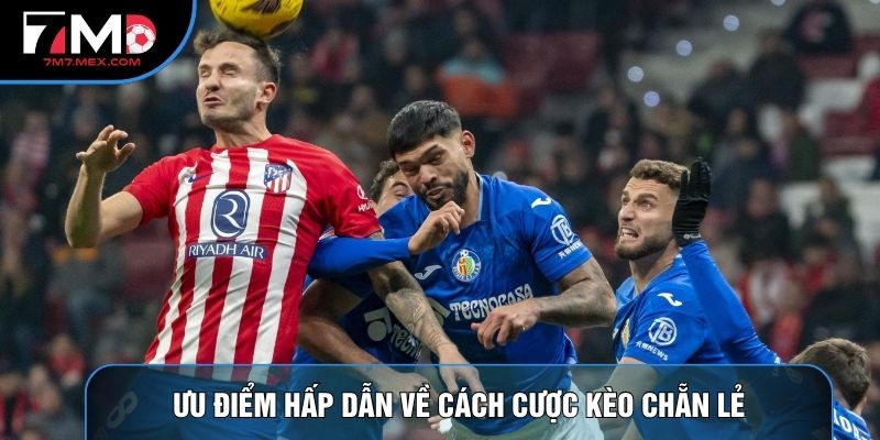 Ưu điểm hấp dẫn về cách cược kèo chẵn lẻ
