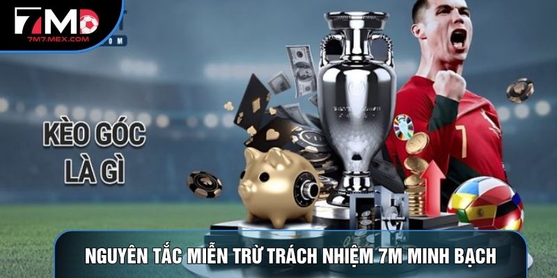 Nguyên tắc Miễn trừ trách nhiệm 7M minh bạch