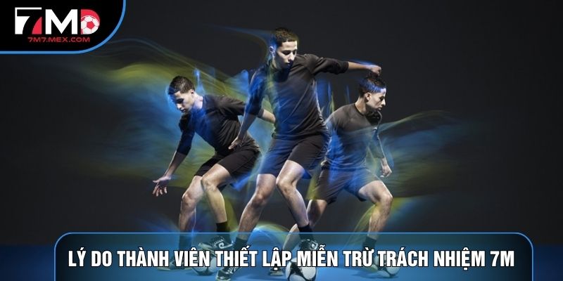 Lý do thành viên thiết lập Miễn trừ trách nhiệm 7M 