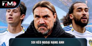 Soi Kèo Ngoại Hạng Anh Và Nghệ Thuật Dự Đoán Tỷ Số Các Trận Cầu