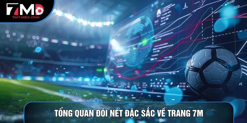 Tổng quan đôi nét đặc sắc về trang 7M